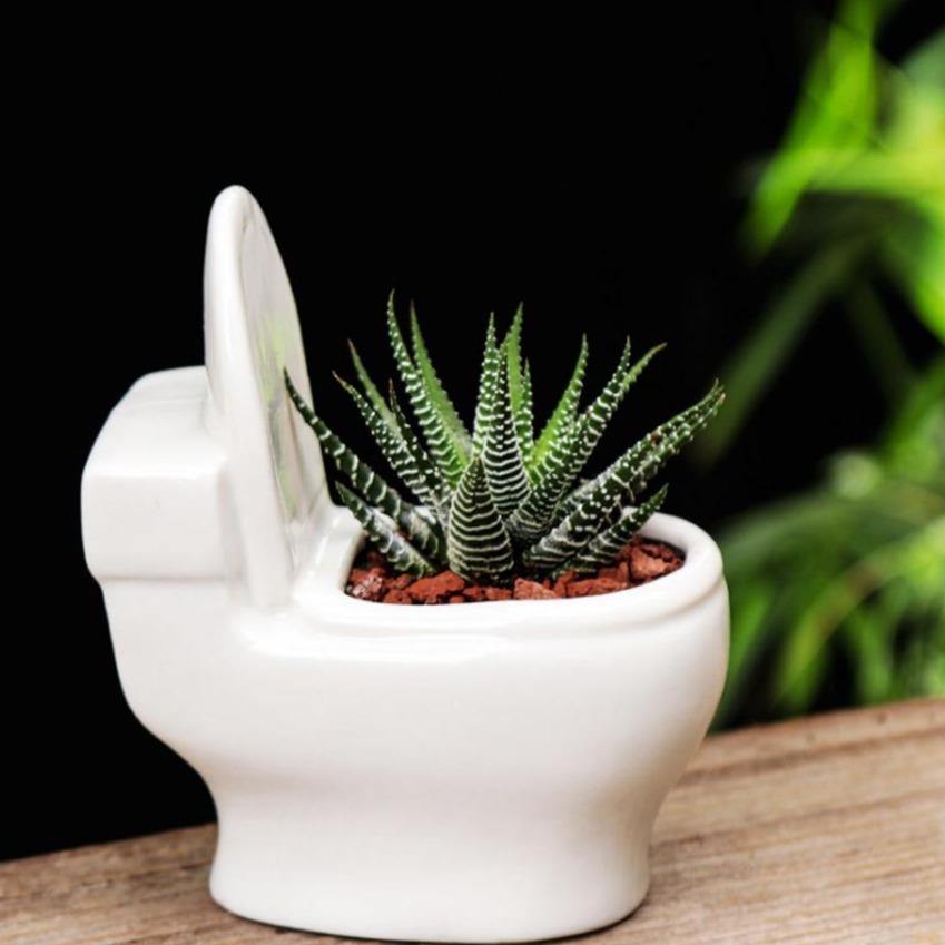 Artisan Crafted Clay Bathroom Plant Holder – Lily & Eden
