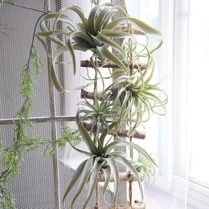 Artificial Air Plant Large