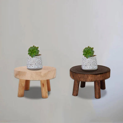 Plant Stands