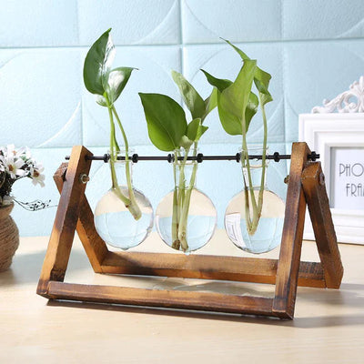 Propagation