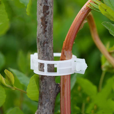 Plant Support