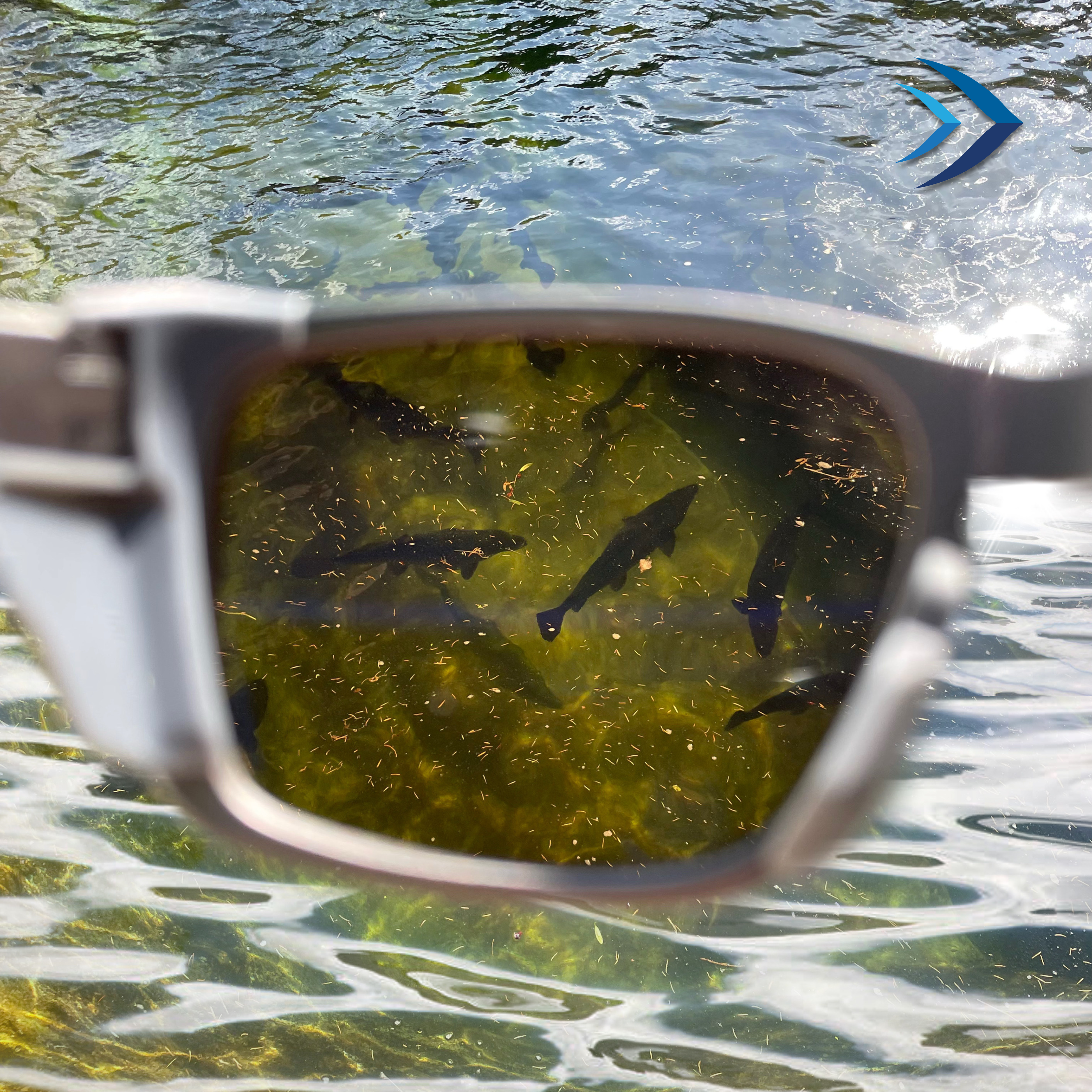 Polarized Lens Color Best Low Light Fishing Glasses Lens Color