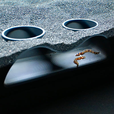 AquaVault™ - Aquarium Underground Curve Tunnel