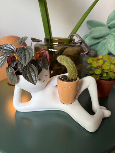 Lazy Larry™ – The Chill-Out Planter