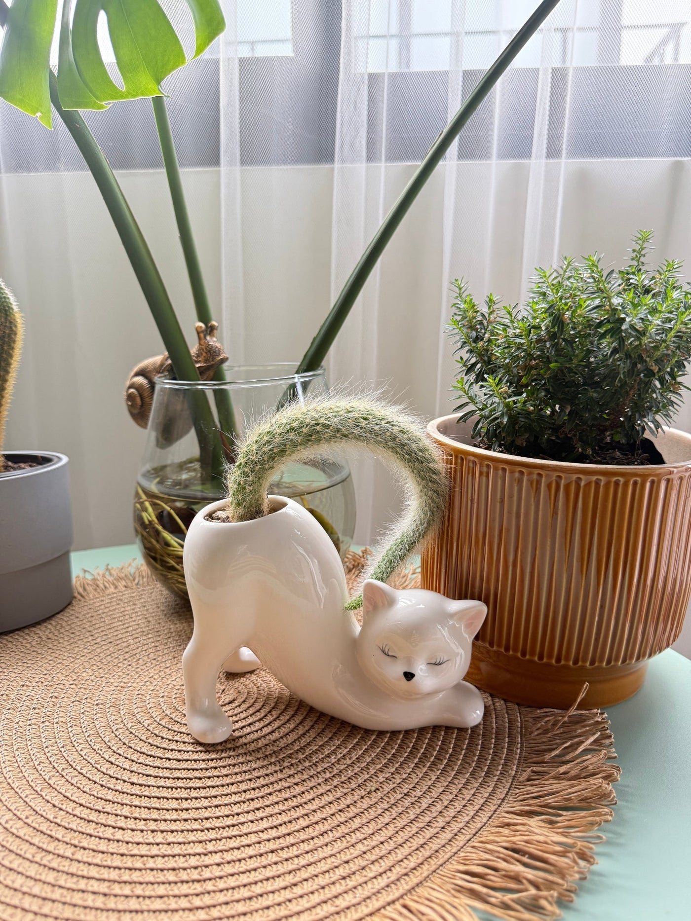 WhiskerBloom™ - Kitty Ceramic Pot