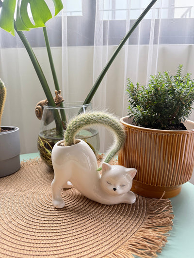 WhiskerBloom™ - Kitty Ceramic Pot