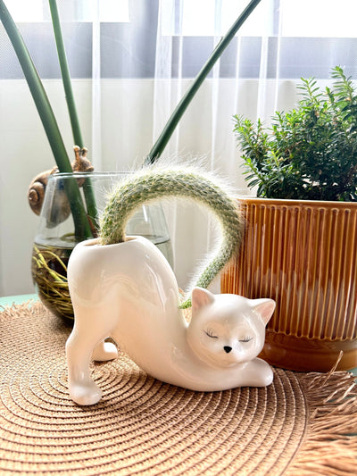 WhiskerBloom™ - Kitty Ceramic Pot