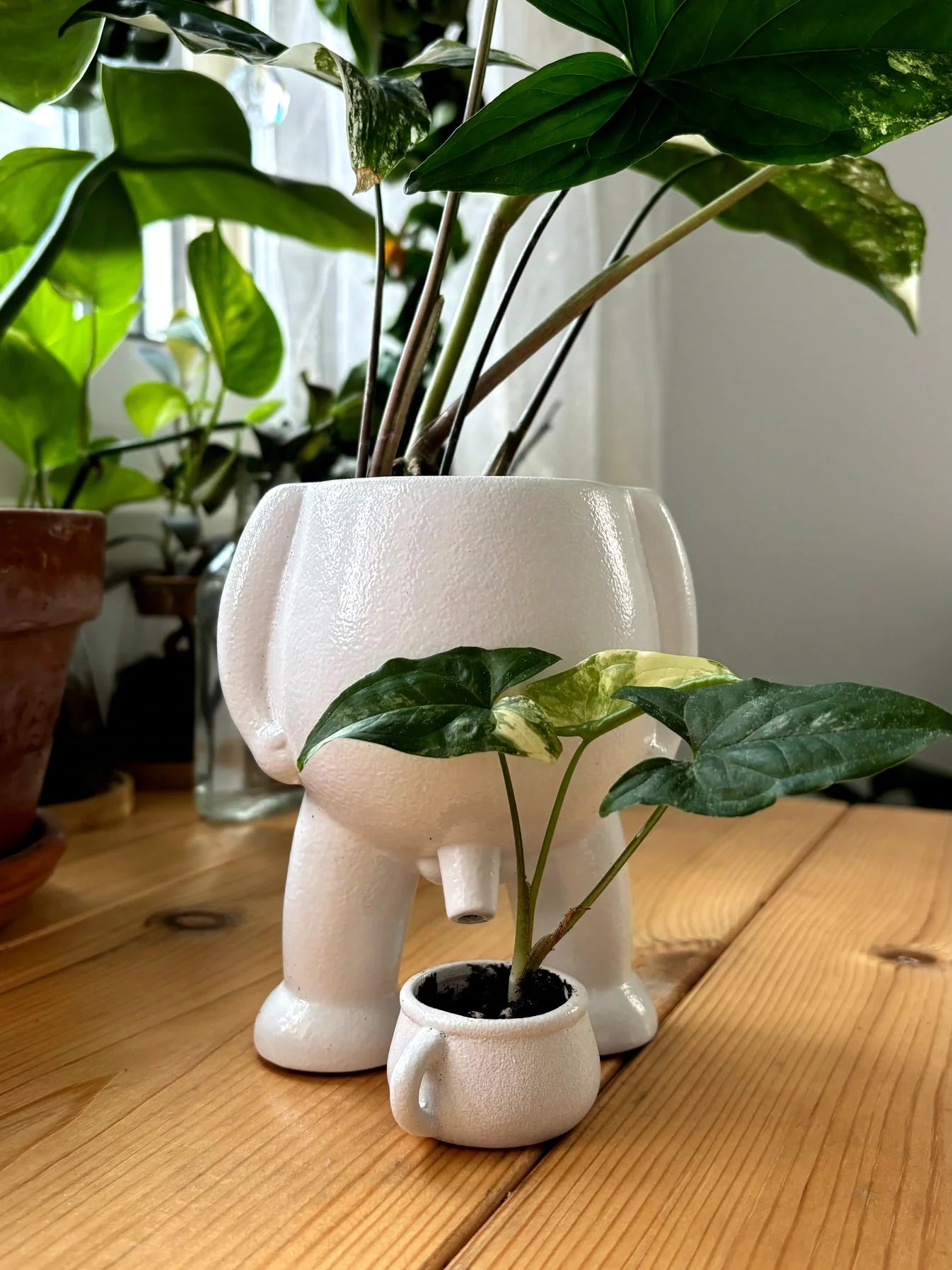 Tinkle Ted™ - The Naughty Planter