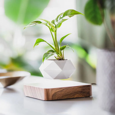 The LeviPlantPot™