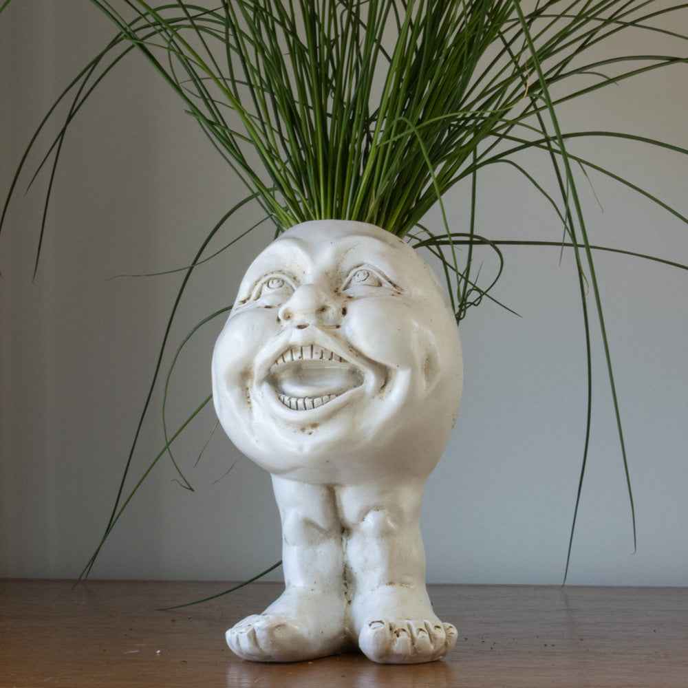 Muggly Muggly Planters | Lily & Eden
