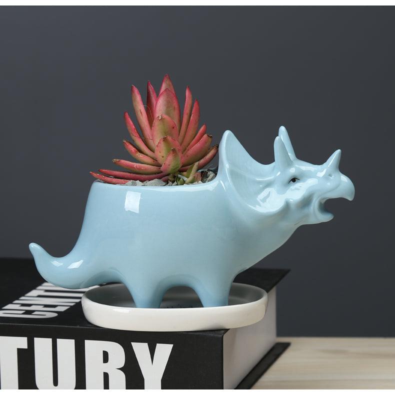 triceratops succulent Adorable Dino Succulent Planter Pot with Drainage Tray SkyBlue