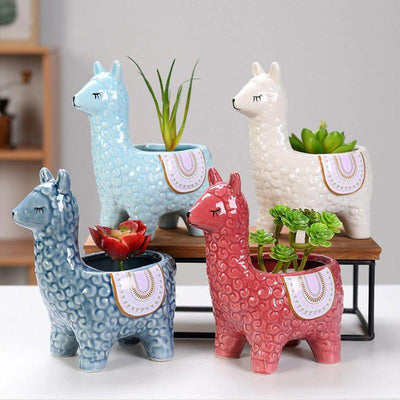 Alpaca Pottery Succulent Planter - Lily & Eden