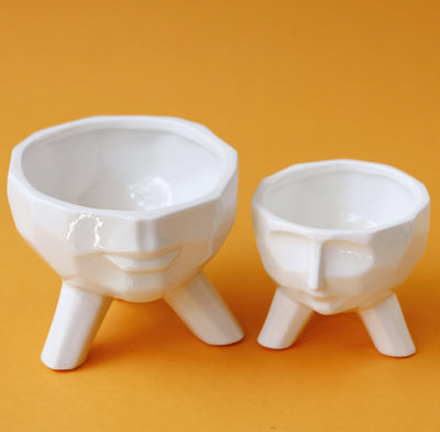 2-Piece White Ceramic Facial Succulent Planters - Lily & Eden