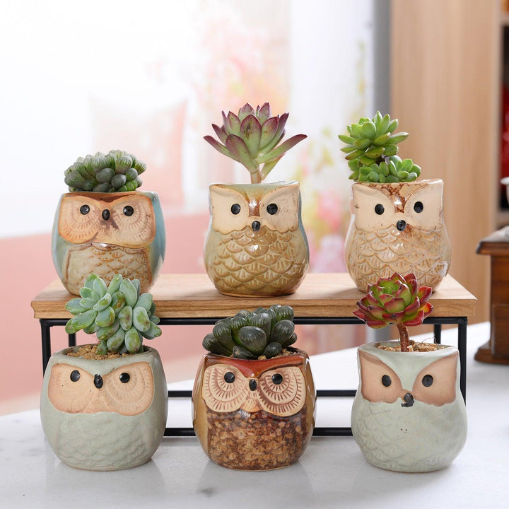 thumbnail image 2 of Ceramc Owl Planters | Ceramc Owl, Owl Planter, Pottery 2 of 9