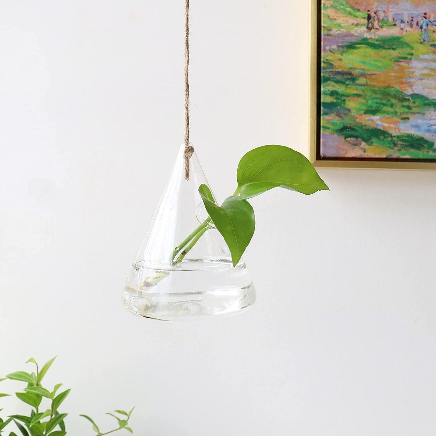 3-Piece Glass Hanging Terrarium Vases - Lily & Eden