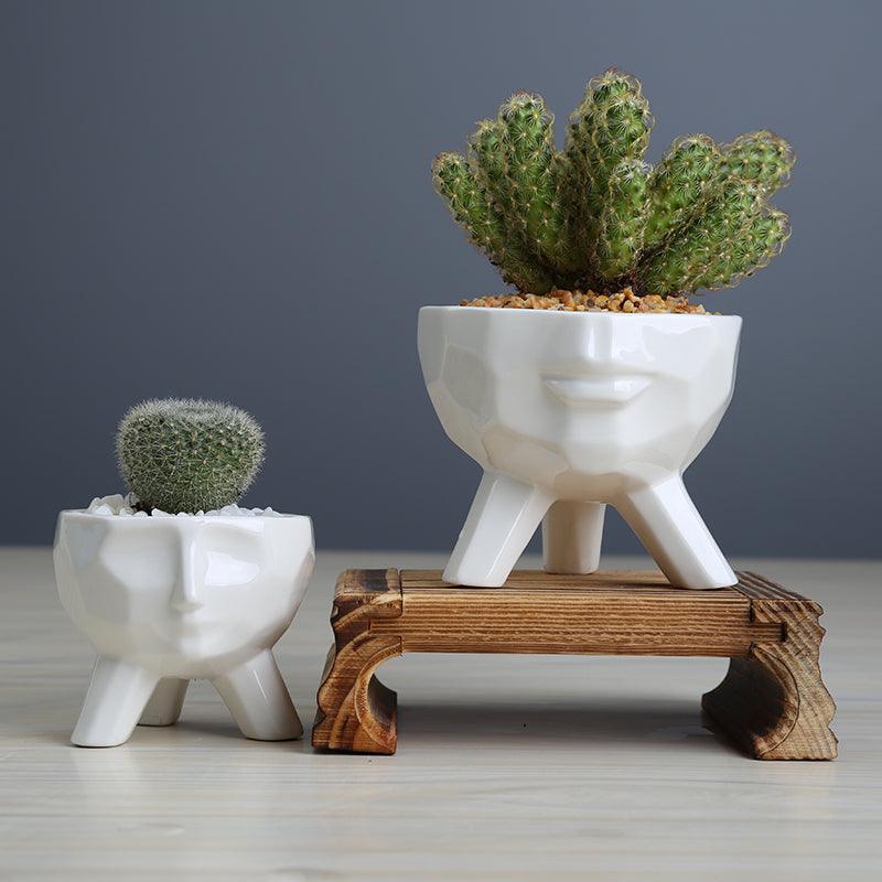 2-Piece White Ceramic Facial Succulent Planters - Lily & Eden