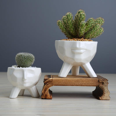 2-Piece White Ceramic Facial Succulent Planters - Lily & Eden