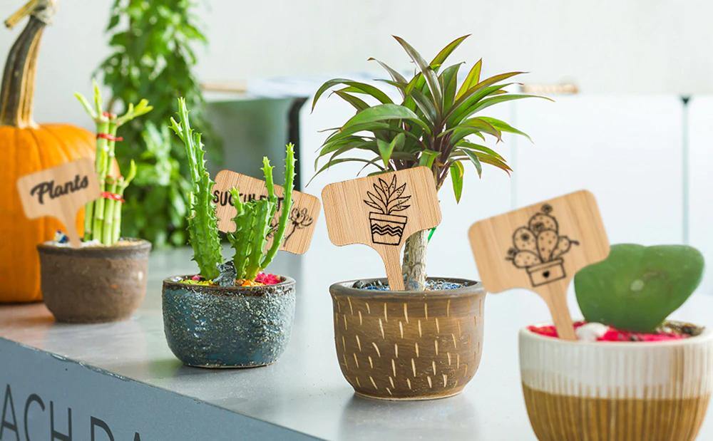 plant pot tags Wooden Plant Label Tags Large