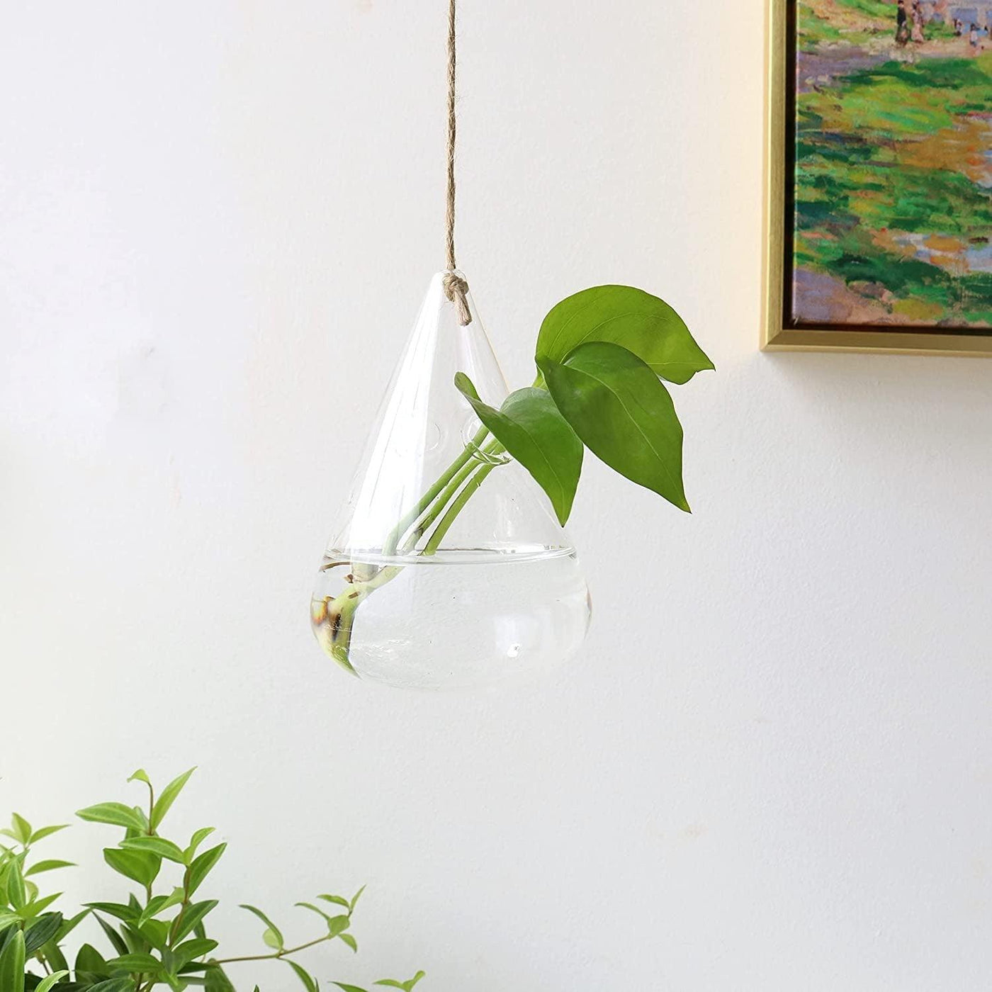 3-Piece Glass Hanging Terrarium Vases - Lily & Eden