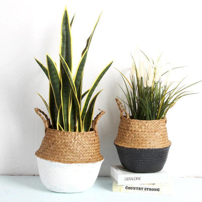 Artisan Rattan Planter or Storage Basket with Handles - Lily & Eden