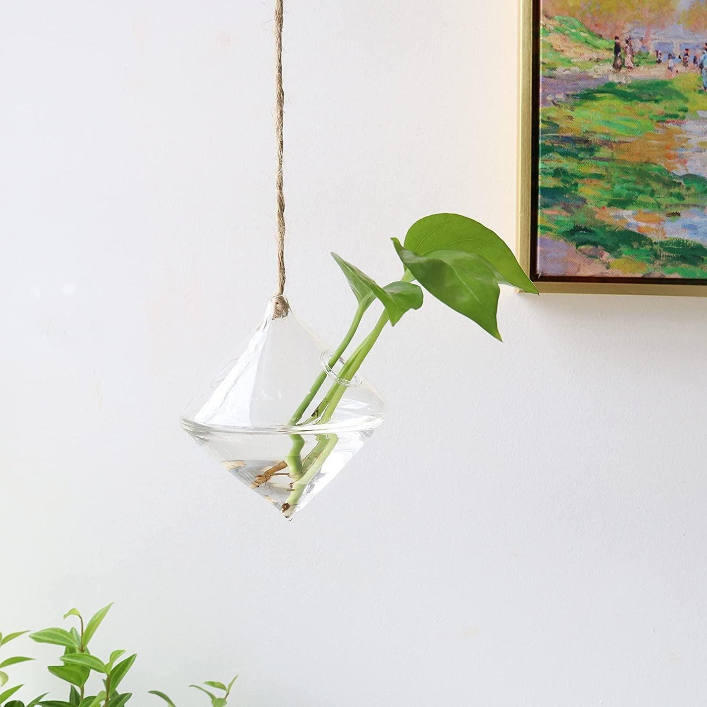 3-Piece Glass Hanging Terrarium Vases - Lily & Eden