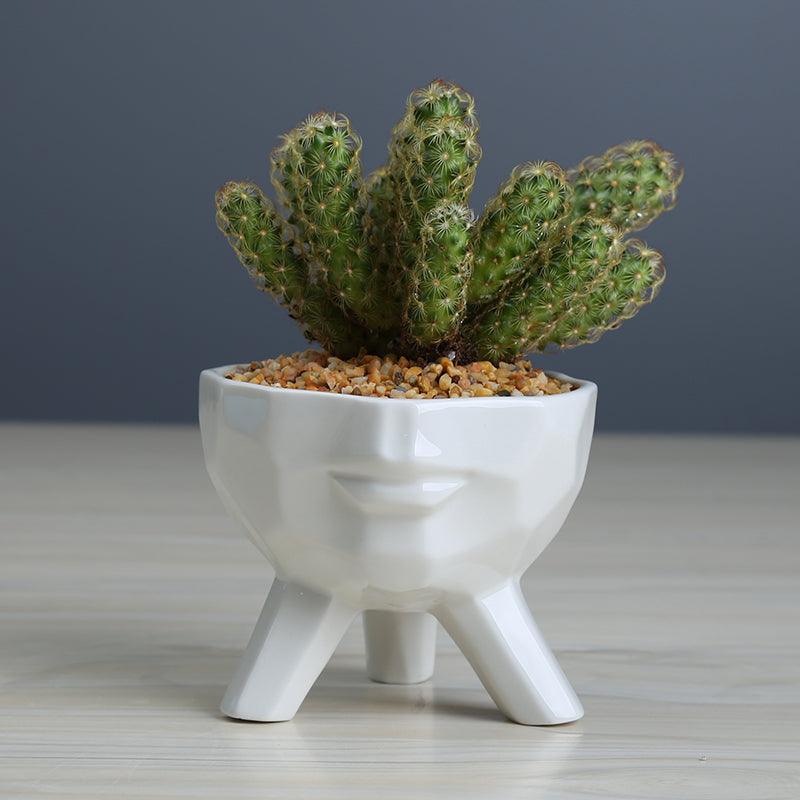 2-Piece White Ceramic Facial Succulent Planters - Lily & Eden