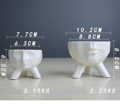 2-Piece White Ceramic Facial Succulent Planters - Lily & Eden