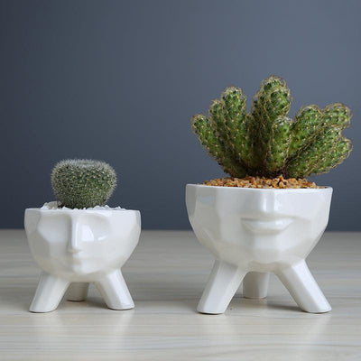 2-Piece White Ceramic Facial Succulent Planters - Lily & Eden