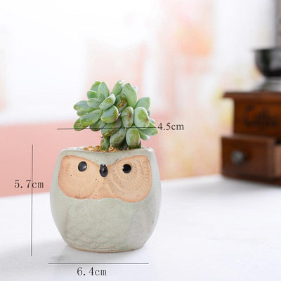 6-Piece Small Owl Ceramic Succulent Planter Pots - Lily & Eden