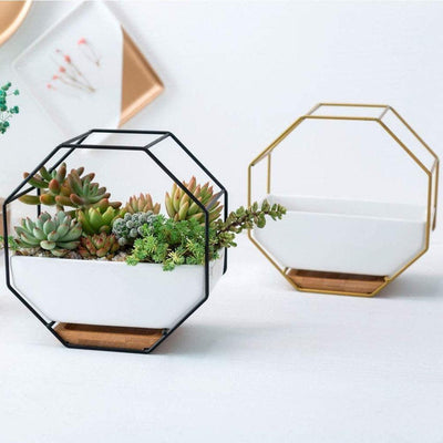 Ceramic Geometric Wall Planter with Iron Octagonal Frame - Lily & Eden
