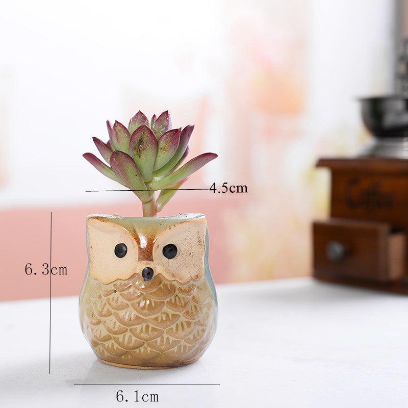 mini ceramic succulent pots 6-Piece Small Owl Ceramic Succulent Planter Pots