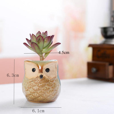 6-Piece Small Owl Ceramic Succulent Planter Pots - Lily & Eden