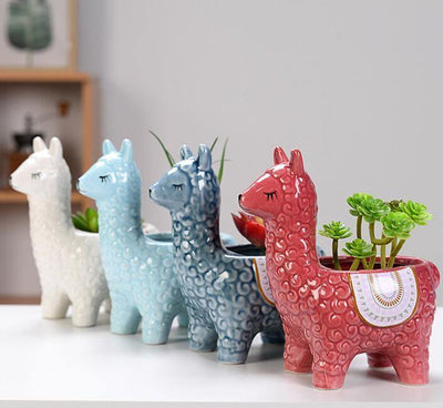 Alpaca Pottery Succulent Planter - Lily & Eden