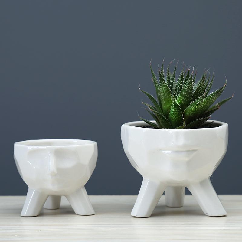 2-Piece White Ceramic Facial Succulent Planters - Lily & Eden