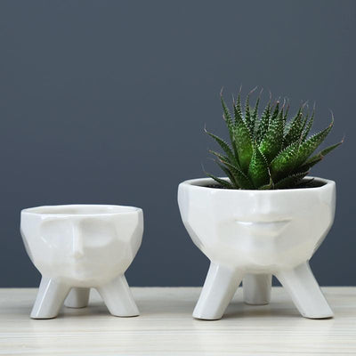 2-Piece White Ceramic Facial Succulent Planters - Lily & Eden