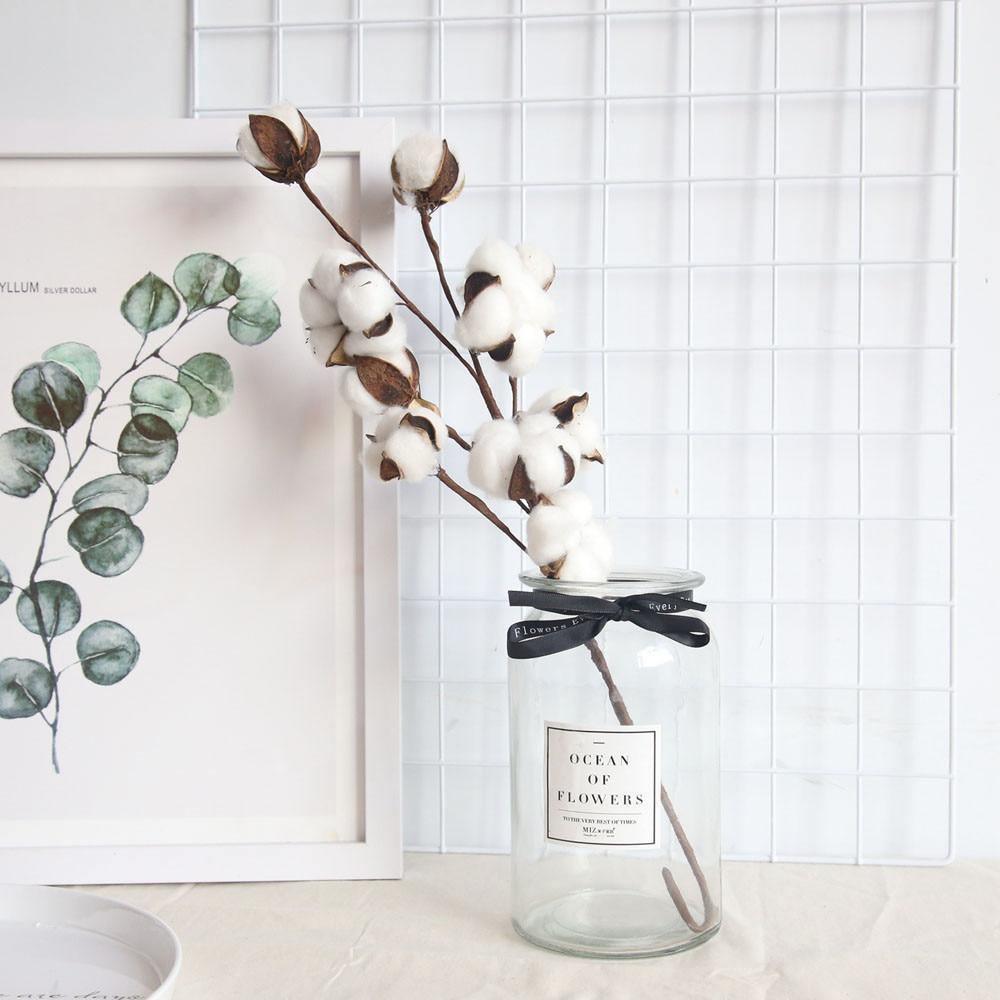 Cotton Branches - Lily & Eden