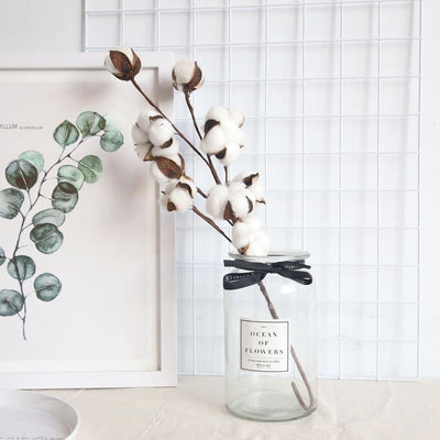 Cotton Branches - Lily & Eden