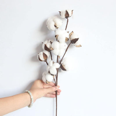 Cotton Branches - Lily & Eden