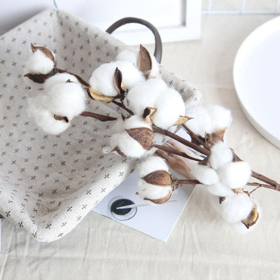 Cotton Branches - Lily & Eden