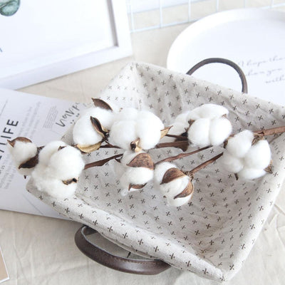 Cotton Branches - Lily & Eden