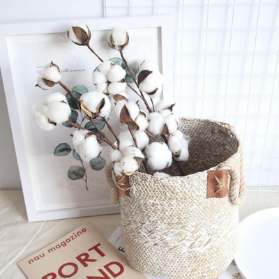 Cotton Branches - Lily & Eden