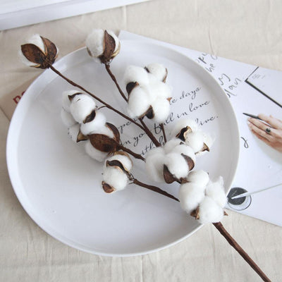 Cotton Branches - Lily & Eden