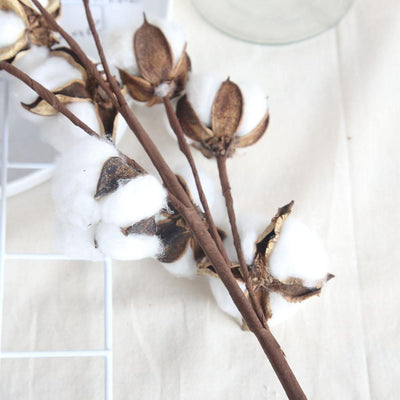 Cotton Branches - Lily & Eden