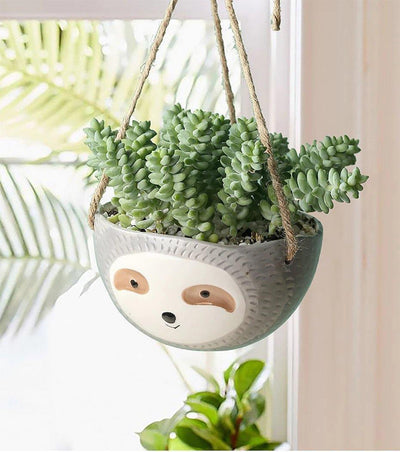 Sloth Ceramic Hanging Succulent Planter LightGrey / Dish | Lily & Eden