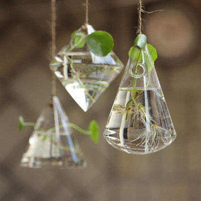 3-Piece Glass Hanging Terrarium Vases - Lily & Eden