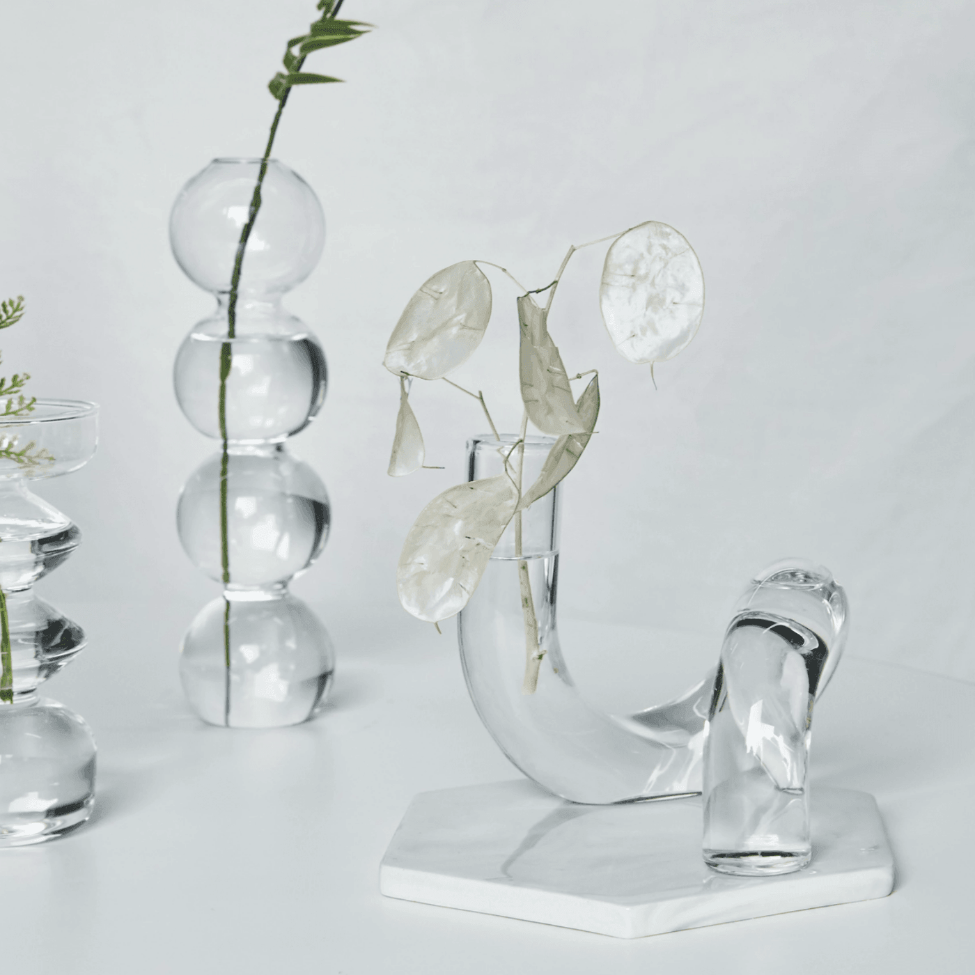 In the Circle Hydroponic Vase - Lily & Eden