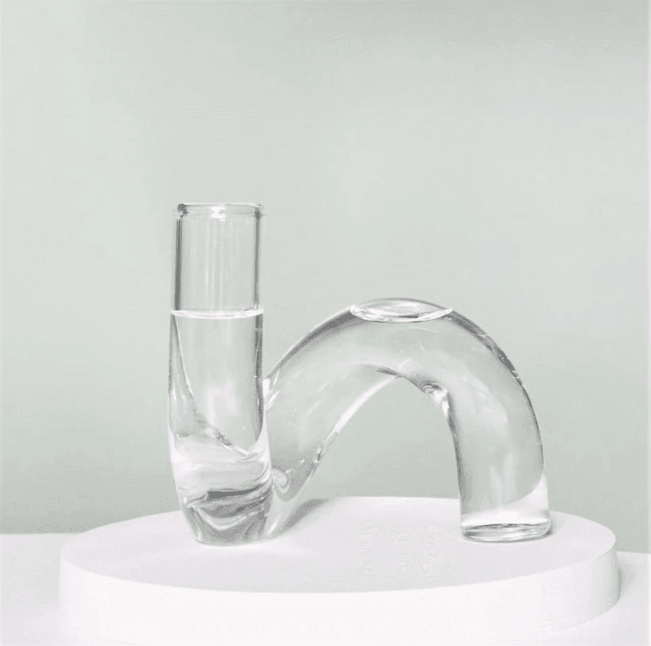 In the Circle Hydroponic Vase - Lily & Eden