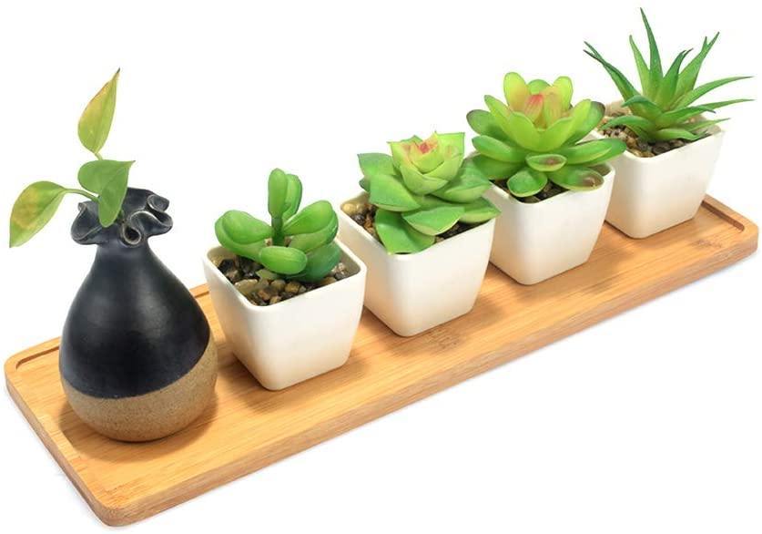 bamboo plant pot saucers Bamboo Planter Saucer Trays Ellipse / Medium