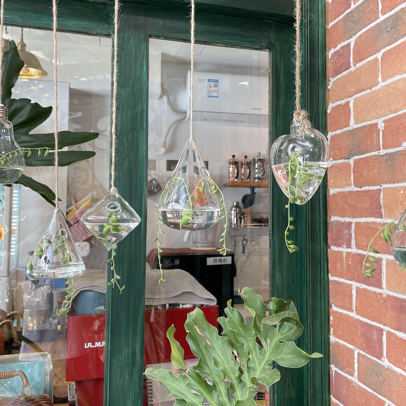 3-Piece Glass Hanging Terrarium Vases - Lily & Eden