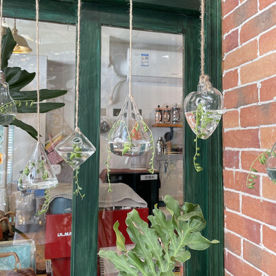 3-Piece Glass Hanging Terrarium Vases - Lily & Eden